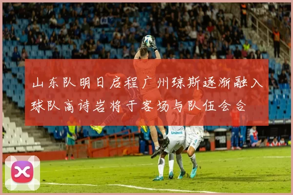 山东队明日启程广州琼斯逐渐融入球队高诗岩将于客场与队伍会合